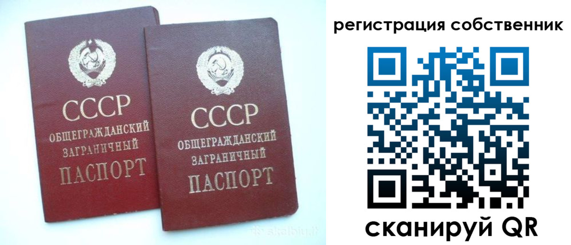временная регистрация надежно в Карабаново